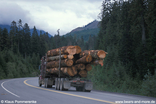 Abtransport von Urwaldholz / Hauling logs