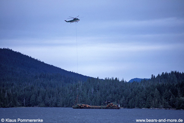 Abtransport von Stämmen per Helikopter / Helicopter logging
